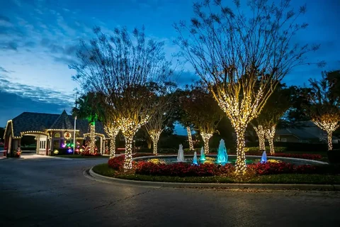 Wrapped trees and lit landscape beds along a commercial entrance median, photographed at blue hour